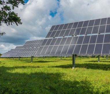 Renewable Energy Cause